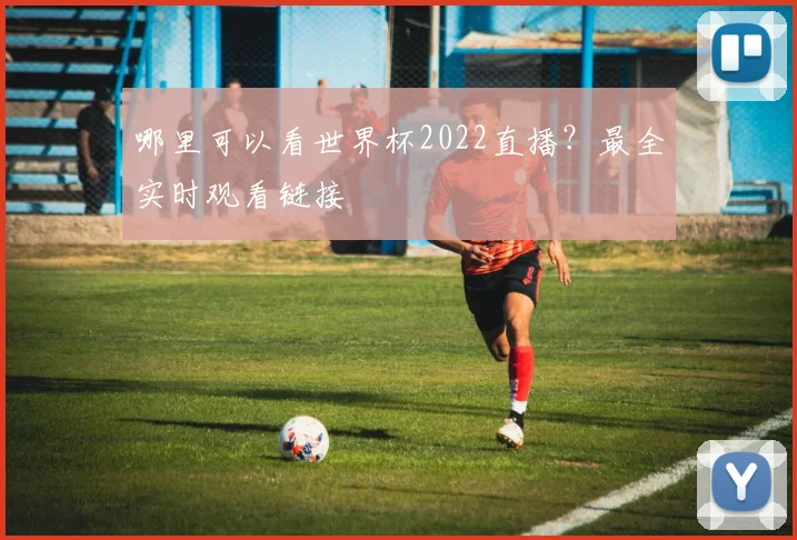 哪里可以看世界杯2022直播?最全实时观看链接