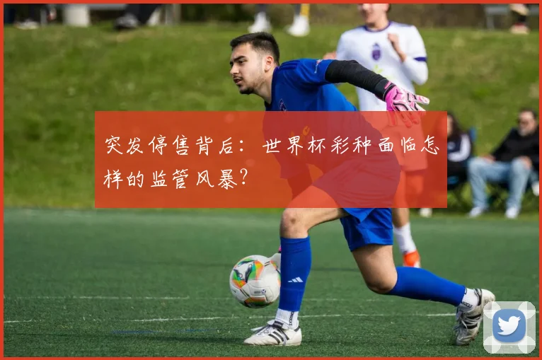 突发停售背后：世界杯彩种面临怎样的监管风暴？